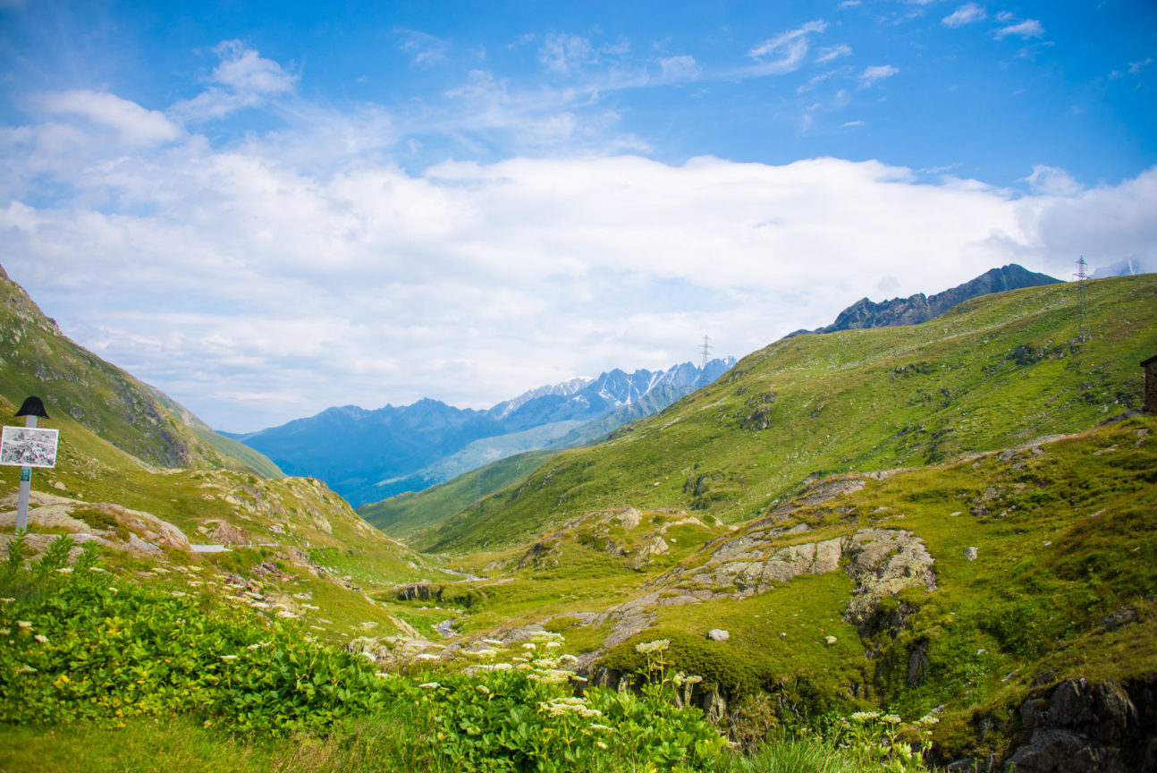 Nature Photo 05 by Studio Lazuli