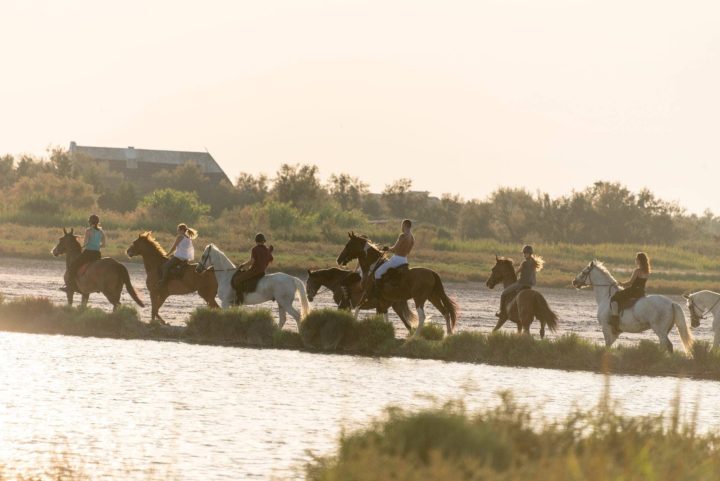 フランス各地の風景写真-カマルグ地方自然公園で夕陽をバックに撮影した乗馬を楽しむ一行