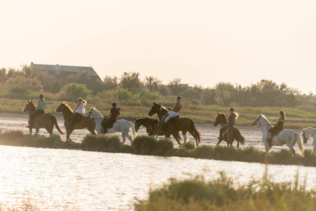 カマルグ地方自然公園で夕陽をバックに撮影した乗馬を楽しむ一行