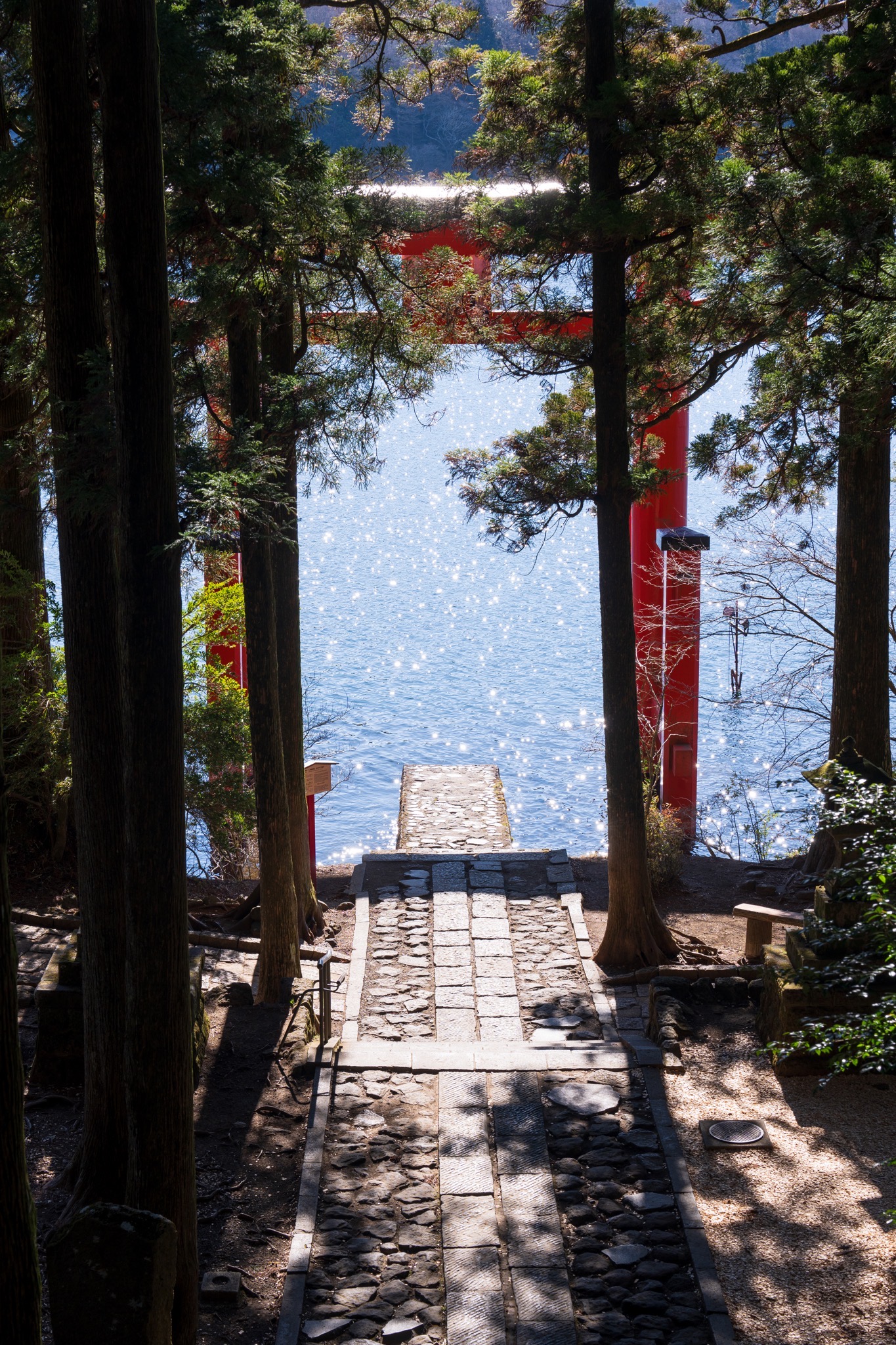 Beautiful expression with transparency and three-dimensionality even in harsh backlit conditions