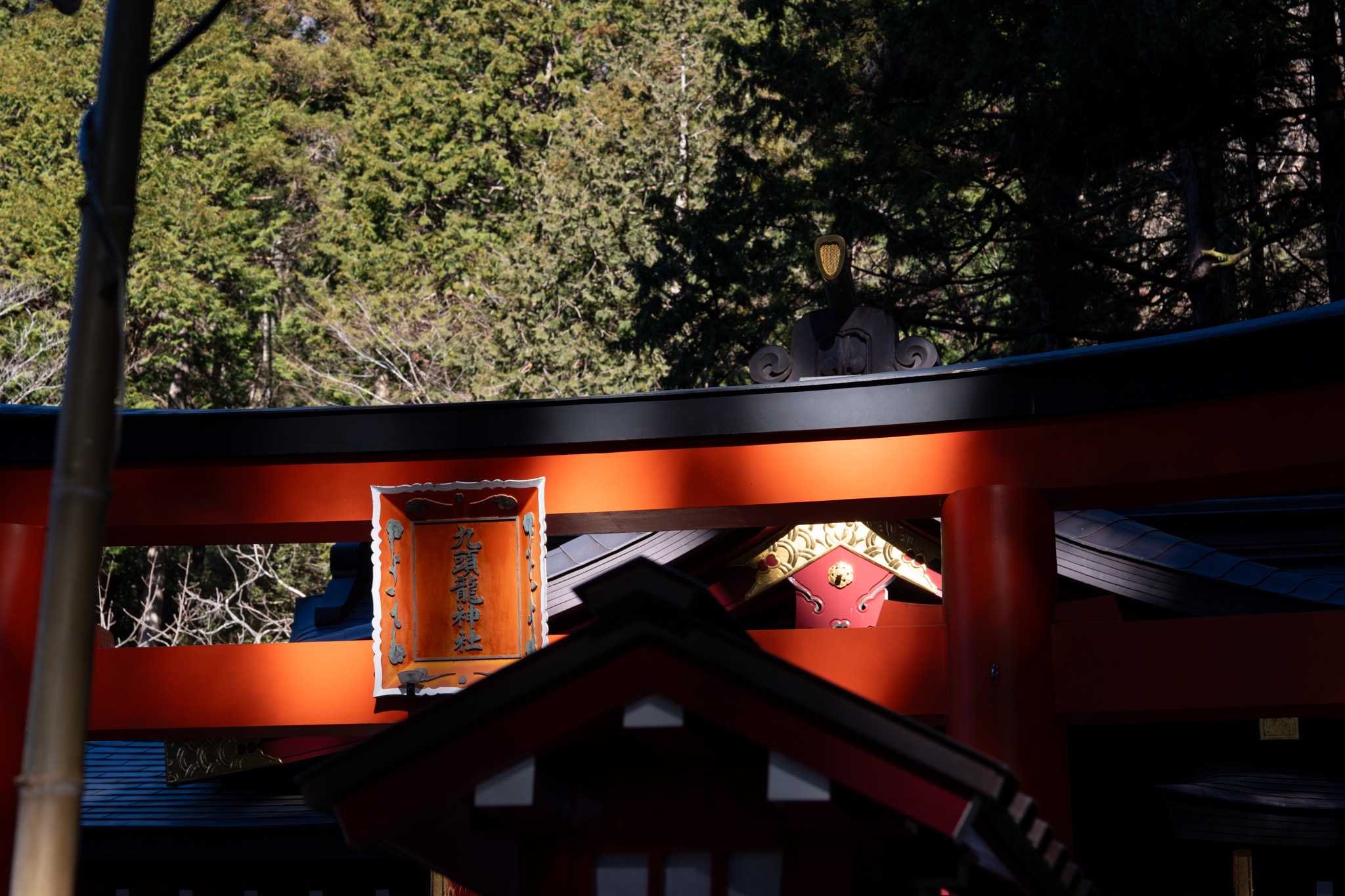 FE 24-70mm F2.8 GM II has high resolution and contrast comparable to a single focal length lens