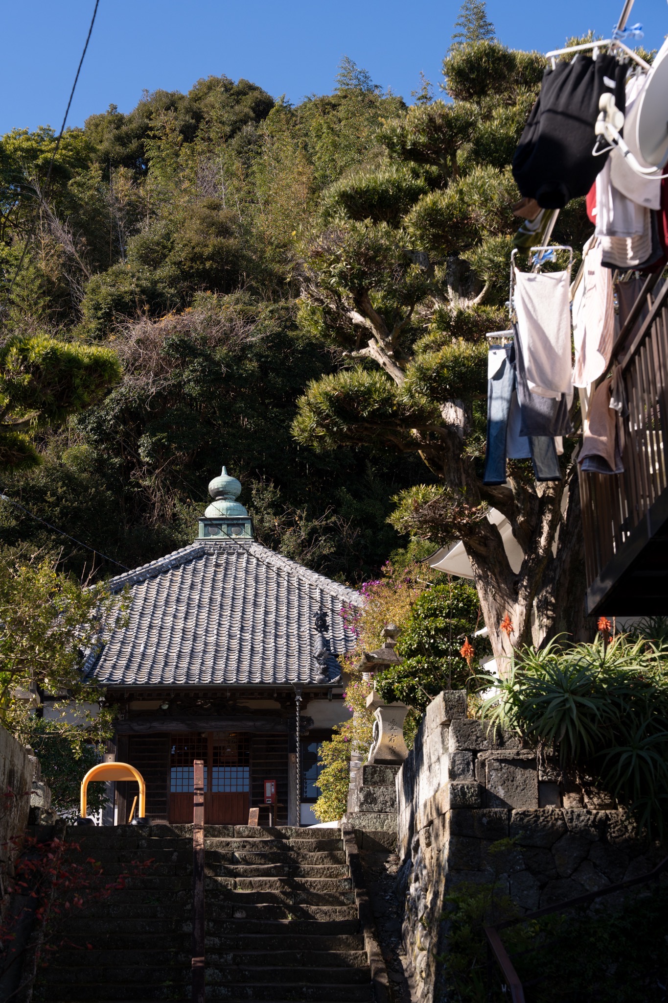 Enjoying snapshots at my first visit to Izu Shimoda