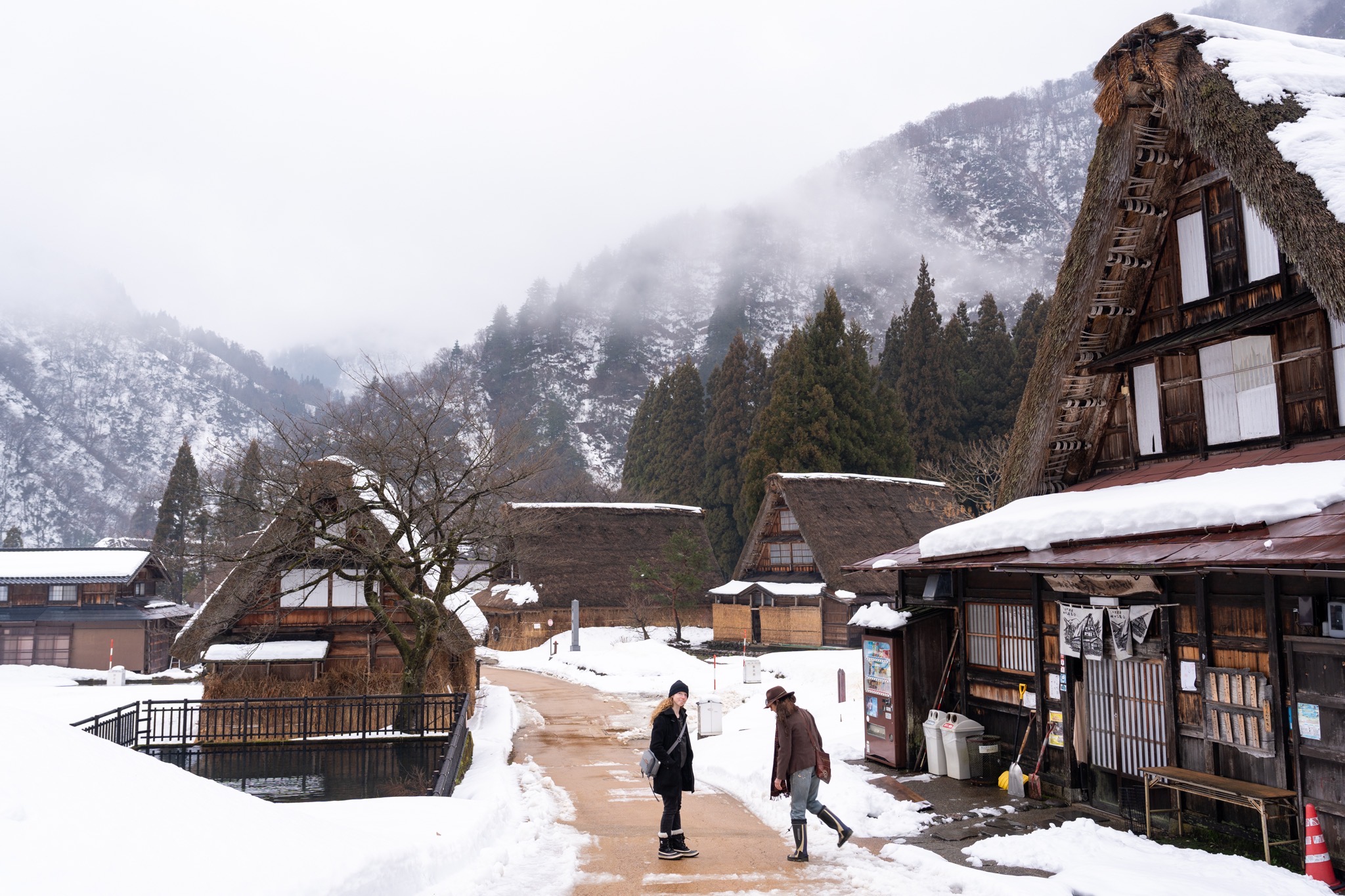 Ajidokoro Takachiyo serving wild animal hot pot & Ainokura Gassho-Zukuri Village